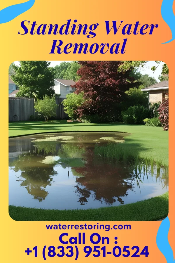 Standing Water Removal in McVeytown, PA